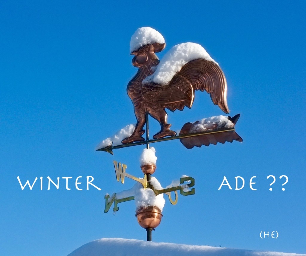 Winter Ade ?